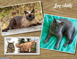 Chad 2022 Cats, Mint NH, Nature - Cats - Autres & Non Classés