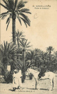 Scènes Et Types - Afrique Du Nord - Etude De Palmiers - Animée - Chevaux - Correspondance - CPA - Voir Scans Recto-Verso - Afrique