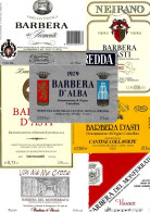 ITALIA ITALY - 15 Etichette Vino Rosso PIEMONTE Anni 1970-80-90 Barbera D'Asti, D'Alba, Del Monferrato, Del Piemonte - Rode Wijn