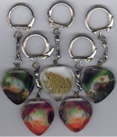 ** LOT  5  PORTE - CLEFS  COEUR - GRENOUILLES ** - Rane