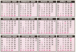 CALENDARIO 2000 FORMATO PICCOLO (MH289 - Small : 1991-00