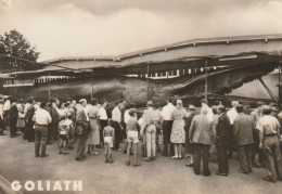 CARTOLINA BALENA GIGANTE GOLIATH (MH112 - Poissons Et Crustacés