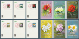 Egypt - 2024 - 6 Max. Cards - ( Flowers From EGYPT ) - Rose