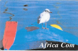 CARTE- PREPAYEE--AFRICA COM-MOUETTE-R°/V° Glacé-Code PN° Continu-Exp10/1997-Autocollant N°Tel-Gratté-T BE - Autres & Non Classés