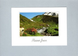 Passy (74) : Plaine Joux - Passy