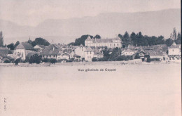 Coppet VD Vu Du Lac (1877) - Coppet