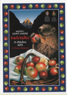 Fre205b Antey Saint Andre Valle D'Aosta Mele Vallee Manifestazione Fair Foire Illustrata Marmotta Cervino Pommes Marmot - Betogingen