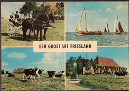 Friesland - Klederdracht, Skûtjesilen, Boerderij, Koeien, Paarden, Sjees - Altri & Non Classificati