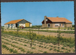 The Netherlands - D-Boerderij + Ontginningsschuur. Farm, Ranch - Farms