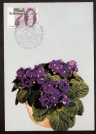 Kaapsviooltje - Zie Zegel Met Zelfde Plantje Op Voorzijde. Stamp With Same Flower On Frontside  - Cartas & Documentos
