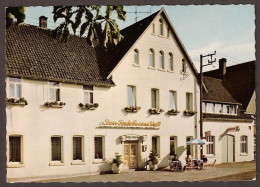 Sandebeck über Detmold - Hotel-Pension 'Zum Teutoburger Wald' - Steinheim