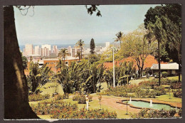 Durban - Natal - The Rose Garden - South Africa - Roses - Sud Africa