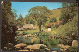 Dartmeet, Dartmoor - Badgers Holt - Picknick Under The Tree - Dartmoor