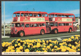 Victoria - British Columbia, Canada - Double-decker London Buses - Victoria