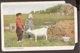 Volendam - Kinderen Voeren Het Geitje - Enfants Avec Chèvre - Volendam