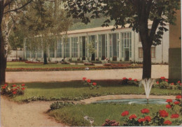 65516 - Bad König - Wandelhalle - 1958 - Bad König