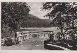 9838 - Eutin - Holsteinische Schweiz - Angelbrücke Ukleisee - Ca. 1955 - Eutin