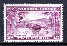 Sierra Leone - Scott #176 - MH - Toning Speck In Bottom Margin - SCV $30 - Sierra Leone (...-1960)