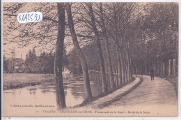 CHATILLON-SUR-SEINE- PROMENADE DE LA DOUIX- BORDS DE LA SEINE - Chatillon Sur Seine