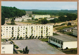 19305 / Peu Commun LES MUREAUX Yvelines Cité Des VIGNES BLANCHES Ecoles Terains De Sports 1970s ABEILLES 9853 - Les Mureaux