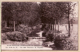19337 / GRIGNON Yvelines GRIGNON Ecole Nationale Agriculture Bords Du RU Belle Plantation Peupliers IPM 1915s à THEBAUD - Grignon