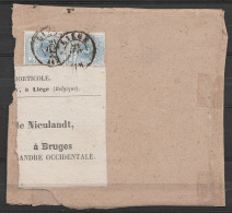 Devant De Colis Affr. N°27x2 (Lion Couché 2c Bleu) Càd LIEGE /21 JUIN 187? Pour BRUGES - 1869-1888 Lion Couché (Liegender Löwe)