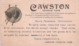 Ostriches, Cawston Ostrich Farm, 1909, USA, Genuinely Used Cover, Ostrich Farm Letter, Condition As Per Scan - Brieven En Documenten