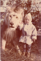 ANIMAUX  LIONET L ENFANT..PHOTO.. - Lions
