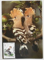 CHINA OISEAUX BIRD CARTE CARD MAXIMUM 1983 23.5. - Cartes-maximum