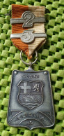 Medaile     " Elistha " De Pas 5, 6662 BK Elst  . -  Original Foto  !!  Medallion  Dutch - Sonstige & Ohne Zuordnung