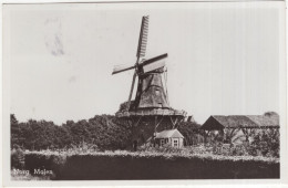 Norg, Molen - (Nederland/Holland)  - 1951 - MOULIN/MILL/MÜHLE/MOLEN - Norg