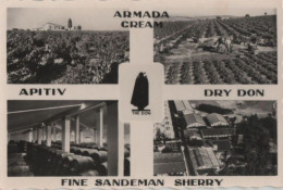 72369 - Spanien - Jerez De La Frontera - Sandeman Vineyards And Bodegas - Ca. 1960 - Cádiz