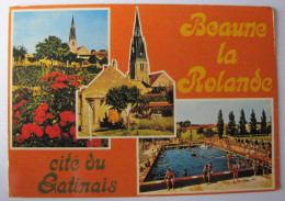 FRANCE - LOIRET - BEAUNE-la-ROLANDE - Vues - Beaune-la-Rolande