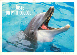 Animaux - Dauphin - Dolphin - Carte à Message - CPM - Voir Scans Recto-Verso - Dolfijnen