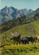 Animaux - Chevaux - Le Mont Dore - Sancy - La Gare Supérieure Du Sancy - Les Aiguilles - Horses - Pferde - CPM - Voir Sc - Pferde