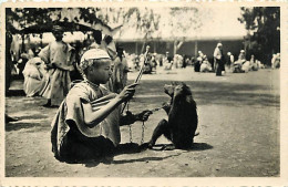 Scènes Et Types - Afrique Du Nord - Dresseur De Singes - Animée - Enfants - Animée - CPSM Format CPA - Voir Scans Recto- - Afrique