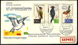 LETTRE EXPRESS DE PRAGUE - POUR L'ALLEMAGNE  - THÈME OISEAUX - Brieven En Documenten