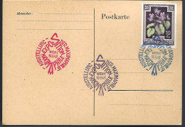 MAXIMAPHILIE - 1948 - AUTRICHE - Briefmarkenausstellungen