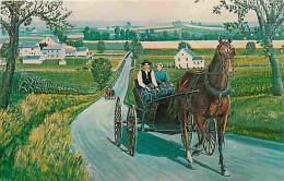 Animaux - Chevaux - Heart Of Amishland - Amish Courting Carriage - A Young Amishman Is Depicted In A Typical Open Bachel - Pferde