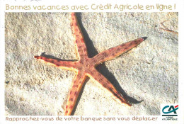 Animaux - Etoile De Mer - Carte Publicitaire Crédit Agricole - CPM - Voir Scans Recto-Verso - Pesci E Crostacei