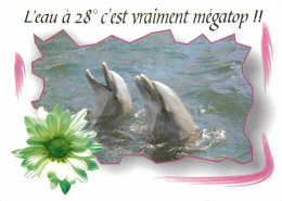 Animaux - Dauphin - Dolphin - Carte à Message - CPM - Carte Neuve - Voir Scans Recto-Verso - Delfini