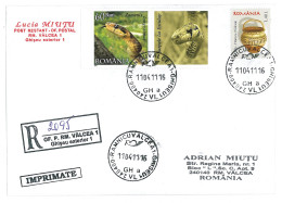 NCP 34 - 2095-a SNAKE ( Zamenis Longissimus ) Romania - Registered, Stamp With Vignette - 2011 - Serpenti