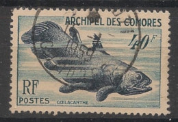 COMORES - 1954 - N°YT. 13 - Coelacanthe - Oblitéré / Used - Gebruikt