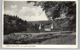 5242 KIRCHEN - FRIESENHAGEN, Schloß Crottorf, 1953 - Altenkirchen