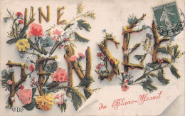 Une Pensée Du BLANC-MESNIL (Seine-Saint-Denis) - Voyagé 1907 (2 Scans) - Le Blanc-Mesnil