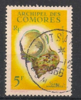 COMORES - 1962 - N°YT. 22 - Coquillages - Oblitéré / Used - Oblitérés