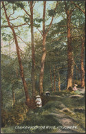 Chambercombe Woods, Ilfracombe, Devon, C.1905 - Hartmann Postcard - Ilfracombe