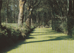 MAILLEZAIS . - "Venise Vendéenne" Fossé De La Vergnée - Maillezais