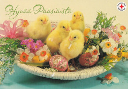 Postal Stationery - Easter Flowers - Chicks - Eggs - Red Cross - Suomi Finland - Postage Paid - Postal Stationery