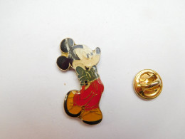 Beau Pin's , Disney , Mickey , époxy , Verso Quadrillé - Disney